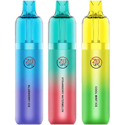 zhb vape 10000 starter kit