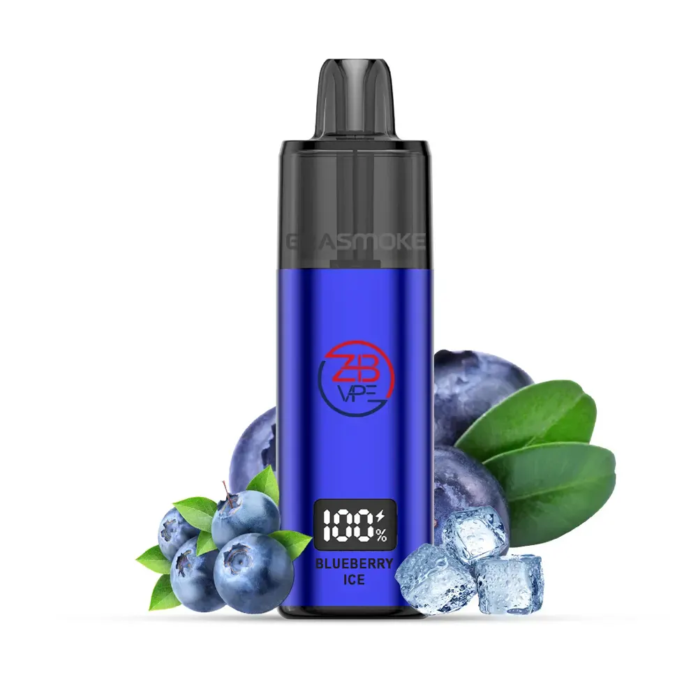 zhb 10000 pro starter kit blueberry ice 1