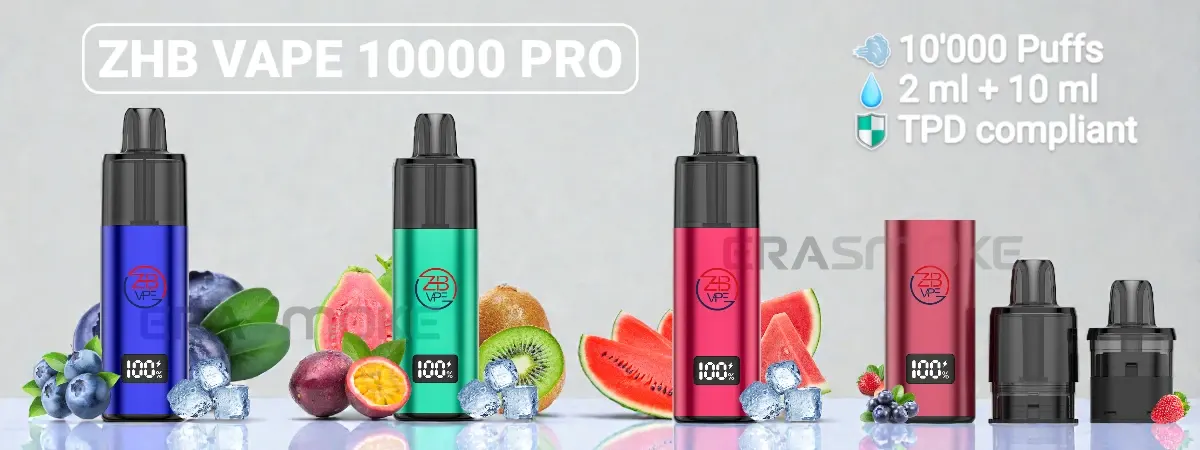 ZHB 10000 PRO im Detail