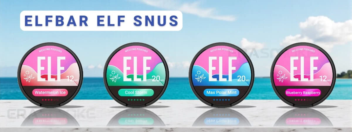 Elfbar ELF Snus Schweiz