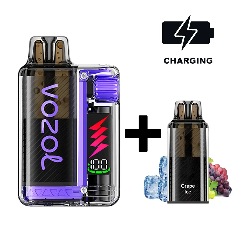 VOZOL Vista Plug Starter-Kit Grape Ice