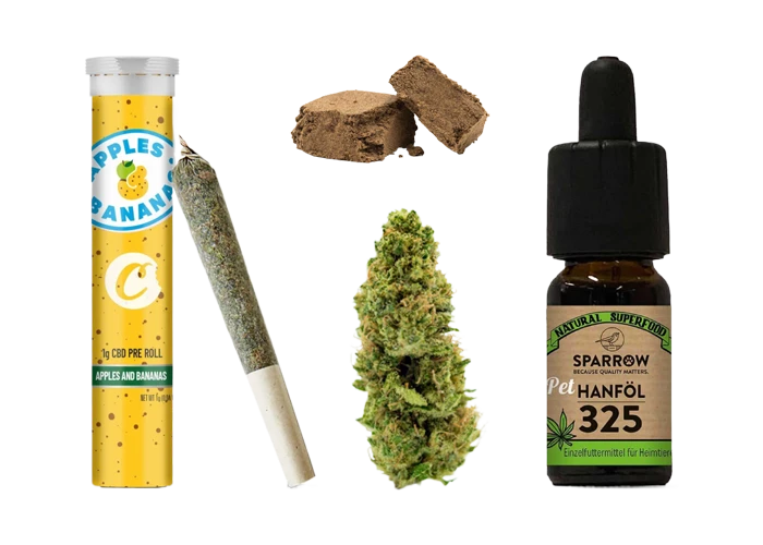 cbd shop schweiz