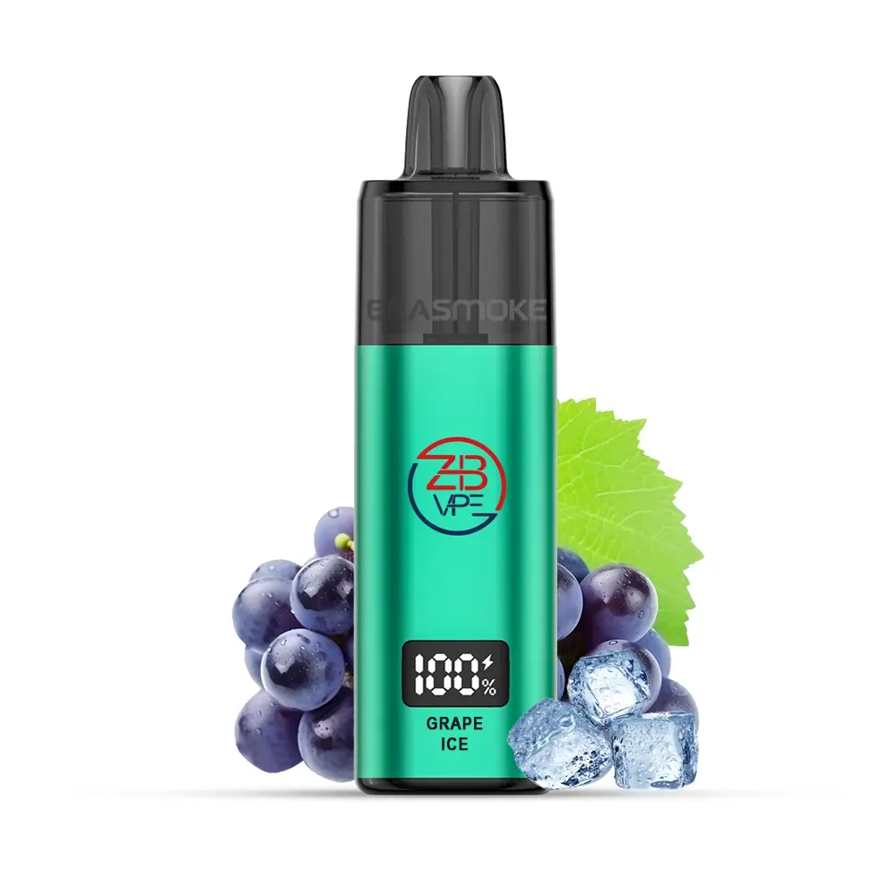 zhb 10000 pro starter kit grape ice 1