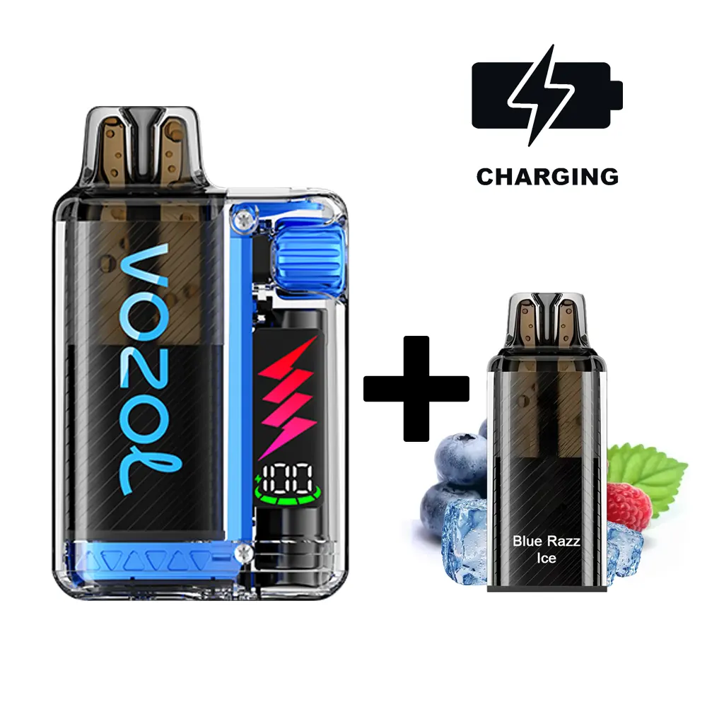 VOZOL Vista Plug Starter-Kit Blue Razz Ice