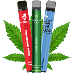 cbd canabis vape
