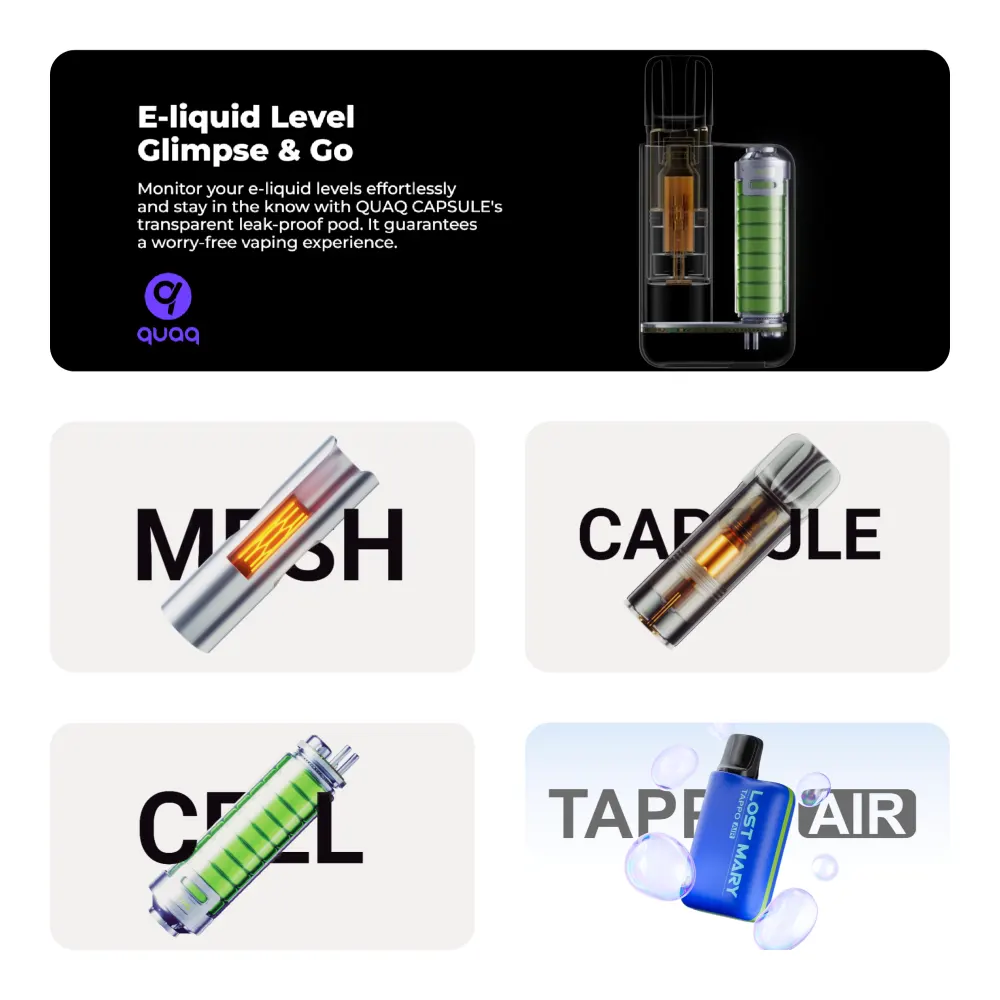 LOST MARY TAPPO Aufbau