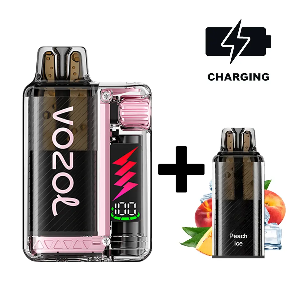 VOZOL Vista Plug Starter-Kit Peach Ice