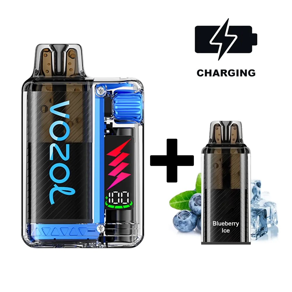 VOZOL Vista Plug Starter-Kit Blueberry Ice