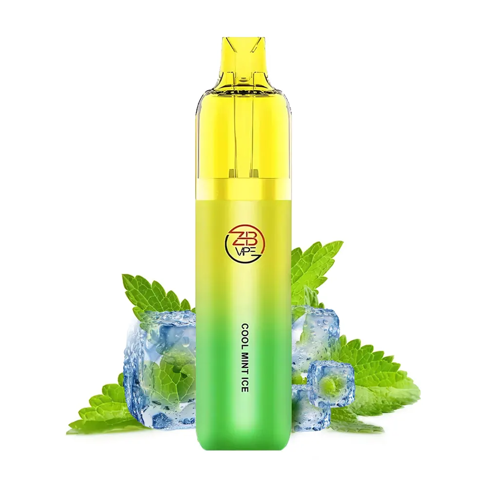 ZHB Vape 10000 Starter-Kit Cool Mint Ice