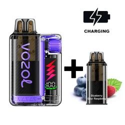 VOZOL Vista Plug Starter-Kit Blueberry Sour Raspberry