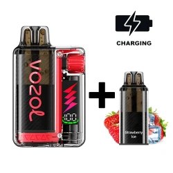 VOZOL Vista Plug Starter-Kit Strawberry Ice 20mg