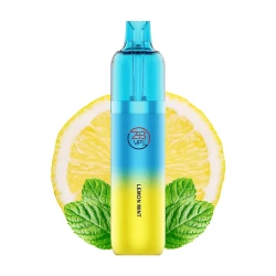 ZHB Vape 10000 Starter-Kit Lemon Mint