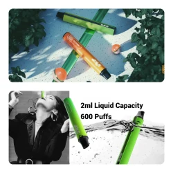 SKE Strip Bar Schweiz