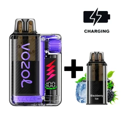 VOZOL Vista Plug Starter-Kit Blackberry Ice