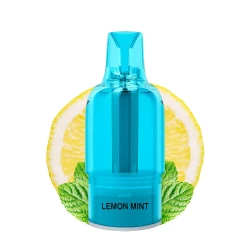 ZHB Vape 10000 Pod Lemon Mint